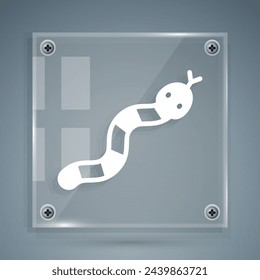 White Snake icon isolated on grey background. Square glass panels. Vector