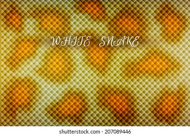 White Snake Skin Background
