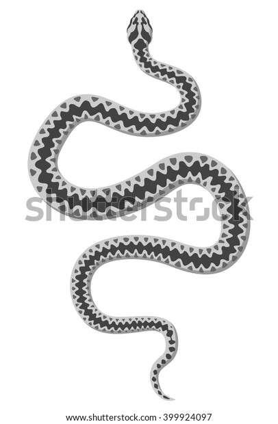 White Snake Vector Stock Vector (Royalty Free) 399924097