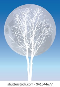 White snow tree branches plant winter season on blue sky background full moon