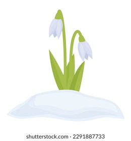 White snowdrop icon cartoon vector. Flower grass. Blossom flora