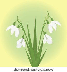 Nevada blanca. Primeras flores de primavera. Educación Waldorf.