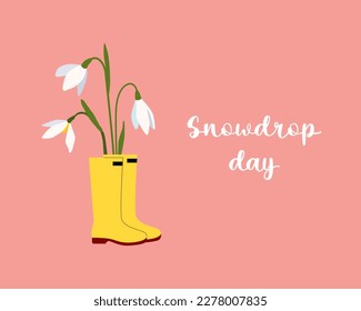 White snowdrops in rubber boots. Early spring flowers. International snowdrop day.