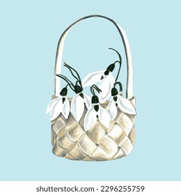 White snowdrops in a wicker basket.
EPS floral botanical illustration.