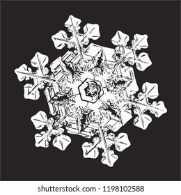 White snowflake isolated on black background. This vector illustration based on macro photo of real snow crystal: elegant star plate with fine hexagonal symmetry, short ornate arms and glossy surface.
