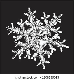 White snowflake isolated on black background. Vector illustration based on macro photo of real snow crystal: elegant stellar dendrite with large central hexagon, complex ornate shape and complex arms.