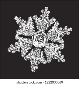 White snowflake isolated on black background. Vector illustration based on macro photo of real snow crystal: large stellar dendrite with hexagonal symmetry, complex ornate shape and six elegant arms.