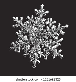 White snowflake isolated on black background. Vector illustration based on macro photo of real snow crystal: stellar dendrite with fine hexagonal symmetry, complex ornate shape and six elegant arms.