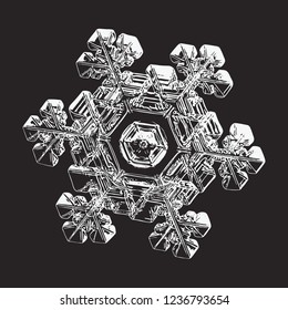 White snowflake isolated on black background. Vector illustration based on macro photo of real snow crystal: elegant star plate with short, broad arms, glossy relief surface and complex inner details.