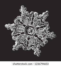 White snowflake isolated on black background. Vector illustration based on macro photo of real snow crystal: elegant star plate with hexagonal symmetry, six short broad arms and complex inner details.