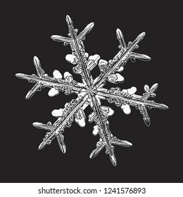White snowflake isolated on black background. Vector illustration based on macro photo of real snow crystal: large stellar dendrite with hexagonal symmetry, complex ornate shape and six elegant arms.