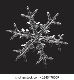 White snowflake isolated on black background. Vector illustration based on macro photo of real snow crystal: beautiful stellar dendrite with hexagonal symmetry, ornate shape and complex structure.