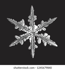 White snowflake isolated on black background. Vector illustration based on macro photo of real snow crystal: elegant stellar dendrite with fine hexagonal symmetry, ornate shape and complex details.