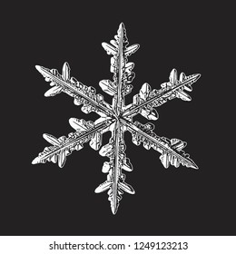 White snowflake isolated on black background. Vector illustration based on macro photo of real snow crystal: large stellar dendrite with hexagonal symmetry, complex ornate shape and six elegant arms.