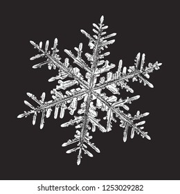 Weiße Schneeflocke einzeln auf schwarzem Hintergrund. Vektorgrafik auf der Grundlage eines Makrofotos aus echtem Schneekristall: große stellare Dendriten mit sechseckiger Symmetrie, komplexer Ornaatform und sechs eleganten Armen.