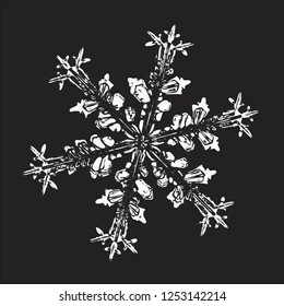 White snowflake isolated on black background. Vector illustration based on macro photo of real snow crystal: beautiful stellar dendrite with fine hexagonal symmetry, ornate shape and complex details.