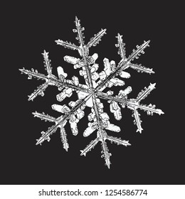 White snowflake isolated on black background. Vector illustration based on macro photo of real snow crystal: large stellar dendrite with hexagonal symmetry, complex ornate shape and six elegant arms.