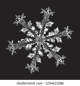 White snowflake isolated on black background. Vector illustration based on macro photo of real snow crystal: beautiful stellar dendrite with fine hexagonal symmetry, ornate shape and complex details.