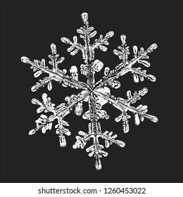 White snowflake isolated on black background. Vector illustration based on macro photo of real snow crystal: large stellar dendrite with hexagonal symmetry, complex ornate shape and six elegant arms.