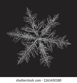 White snowflake isolated on black background. Vector illustration based on macro photo of real snow crystal: beautiful stellar dendrite with fine hexagonal symmetry, ornate shape and complex details.