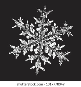 White snowflake isolated on black background. Vector illustration based on macro photo of real snow crystal: large stellar dendrite with hexagonal symmetry, complex ornate shape and six elegant arms.