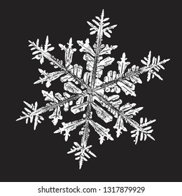 White snowflake isolated on black background. Vector illustration based on macro photo of real snow crystal: beautiful stellar dendrite with fine hexagonal symmetry, ornate shape and complex details.