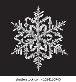 White snowflake isolated on black background. Vector illustration based on macro photo of real snow crystal: big stellar dendrite with hexagonal symmetry, complex ornate shape and six elegant arms.