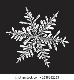 White snowflake isolated on black background. Vector illustration based on macro photo of real snow crystal: large stellar dendrite with hexagonal symmetry, complex ornate shape and six elegant arms.