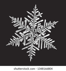 White snowflake isolated on black background. Vector illustration based on macro photo of real snow crystal: elegant stellar dendrite with fine hexagonal symmetry, ornate shape and complex details.