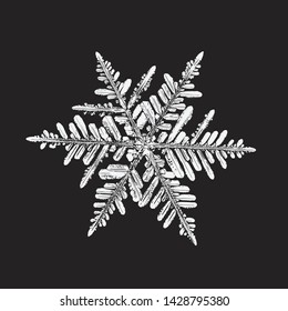 White snowflake isolated on black background. Vector illustration based on macro photo of real snow crystal: beautiful stellar dendrite with fine hexagonal symmetry, ornate shape and complex details.
