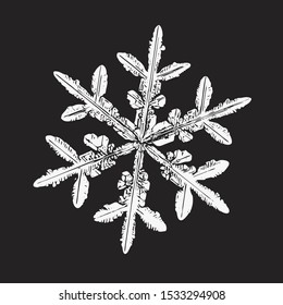 White snowflake isolated on black background. Vector illustration based on macro photo of real snow crystal: elegant stellar dendrite with hexagonal symmetry, complex ornate shape and six ornate arms.