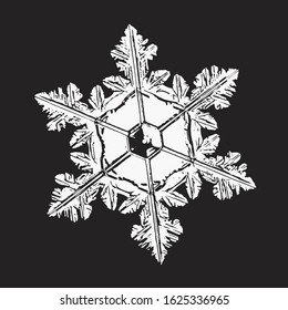 White snowflake isolated on black background. Vector illustration based on macro photo of real snow crystal: elegant star plate with hexagonal symmetry, short, flat arms and complex inner structure.