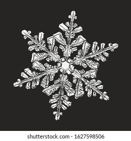 White snowflake isolated on black background. Vector illustration based on macro photo of real snow crystal: elegant stellar dendrite with hexagonal symmetry, complex ornate shape and six flat arms.