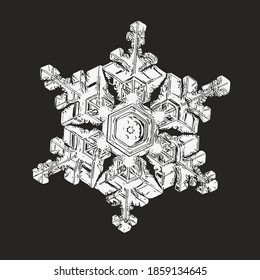 El copo de nieve blanco aislado en el fondo negro. Ilustración vectorial basada en una foto macro de cristal de nieve real: gran dendrita estelar con simetría hexagonal, forma ornamental compleja y seis brazos elegantes.