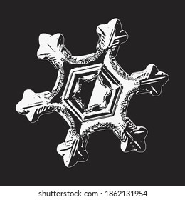 El copo de nieve blanco aislado en el fondo negro. Ilustración vectorial basada en una foto macro de cristal de nieve real: elegante placa estrella con brazos delgados y planos, brillante superficie 3d y complejos detalles interiores.