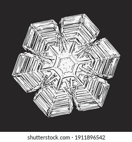Weiße Schneeflocke einzeln auf schwarzem Hintergrund. Vektorgrafik auf der Grundlage eines Makrofotos aus echtem Schneekristall: elegante Sternplatte mit sechseckiger Symmetrie, kurzen, breiten Armen und glänzender Reliefoberfläche.