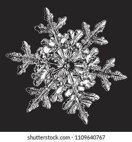White snowflake on black background. This vector illustration based on macro photo of real snow crystal: small stellar dendrite with fine hexagonal symmetry, complex ornate shape and six elegant arms.