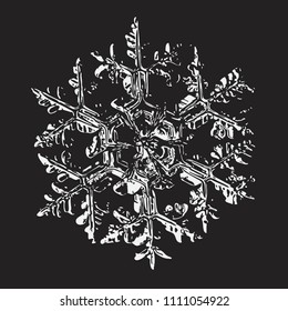 White snowflake on black background. This vector illustration based on macro photo of real snowflake: large stellar dendrite snow crystal with massive hexagonal center and ornate arms.