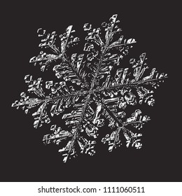 White snowflake on black background. This vector illustration based on macro photo of real snow crystal: small stellar dendrite with fine hexagonal symmetry, complex ornate shape and six elegant arms.