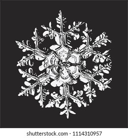 White snowflake on black background. This vector illustration based on macro photo of real snow crystal: large stellar dendrite with massive central hexagon and six ornate arms with side branches.