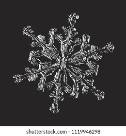 White snowflake on black background. This vector illustration based on macro photo of real snow crystal: large stellar dendrite with fine hexagonal symmetry, complex ornate shape and six elegant arms.