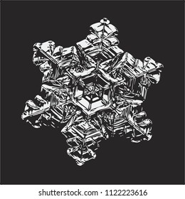 White snowflake on black background. This vector illustration based on macro photo of real snow crystal: small star plate with six short, broad arms, glossy surface and complex inner structure.