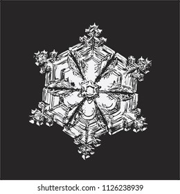 White snowflake on black background. This vector illustration based on macro photo of real snow crystal: small star plate with six short, broad arms, glossy surface and complex inner structure.