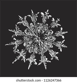 White snowflake on black background. This vector illustration based on macro photo of real snow crystal: rare specimen with twelve thin, elegant arms, fine symmetry and complex inner structure.