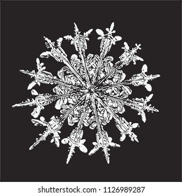 White snowflake on black background. This vector illustration based on macro photo of real snow crystal: rare specimen with twelve thin, elegant arms, fine symmetry and complex inner structure.