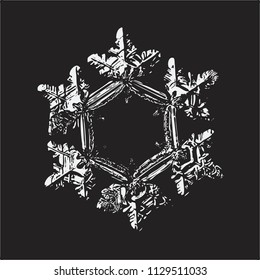 White snowflake on black background. This vector illustration based on macro photo of real snow crystal: beautiful star plate with six short, relief arms and large, flat and empty central hexagon.