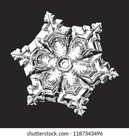 White snowflake on black background. This vector illustration based on macro photo of real snow crystal: elegant star plate with six short, ornate arms, relief surface and complex inner details.