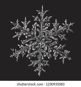 White snowflake on black background. Vector illustration based on macro photo of real snow crystal: large stellar dendrite with fine hexagonal symmetry, complex ornate shape and six elegant arms.