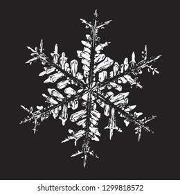 White snowflake on black background. Vector illustration based on macro photo of real snow crystal: elegant star plate with fine hexagonal symmetry, six short, broad arms and complex inner details.
