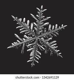White snowflake on black background. Vector illustration based on macro photo of real snow crystal: elegant stellar dendrite with fine hexagonal symmetry, ornate shape and complex details.